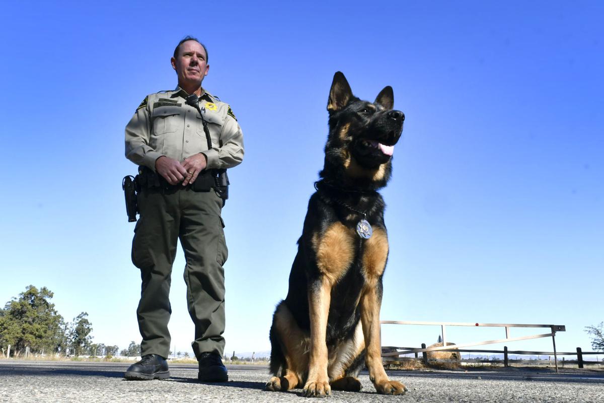SB Sheriff and K9