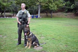 Santa Barbara County sheriff’s K-9 Chop sits alongside his handler, Deputy Shane Moore. (Brooke Holland / Noozhawk photo) 